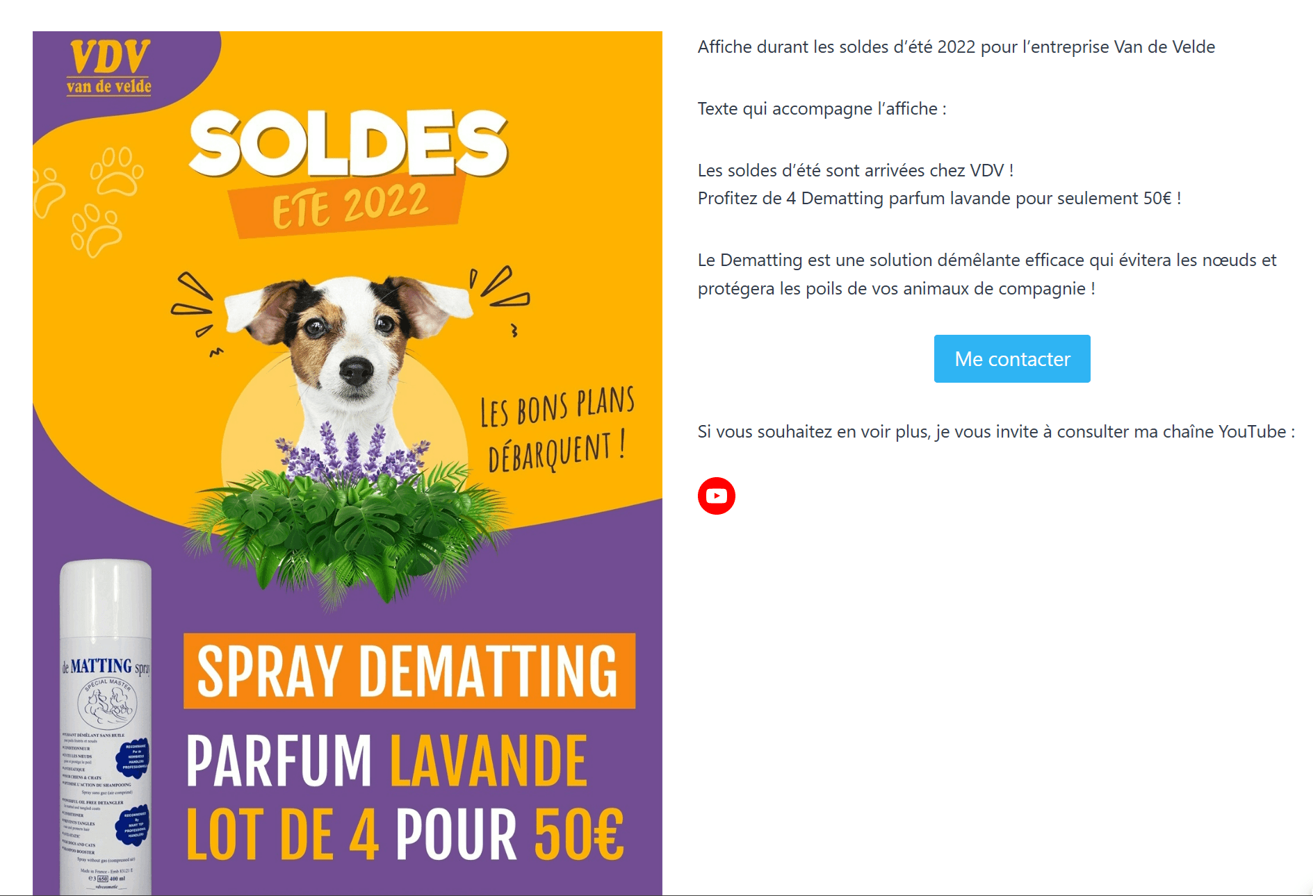 Mon site Portfolio MMI 1 - Image 2